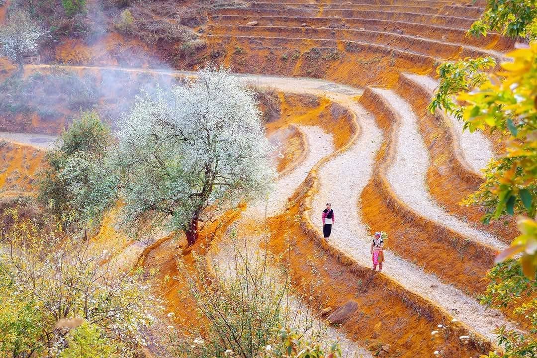 4-Day Cycling Tour: Hanoi to Ngoc Chien & Nam Nghep